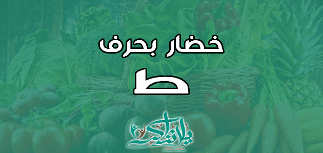 اسم خضار بحرف الطاء ط