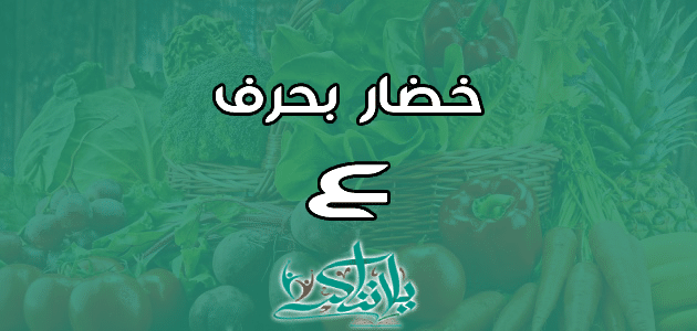 اسم خضار بحرف العين ع