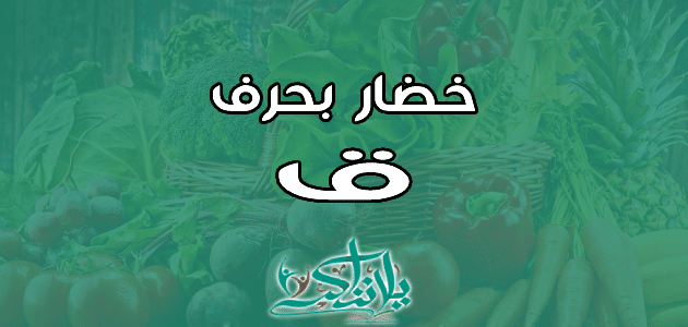 اسم خضار بحرف القاف ق