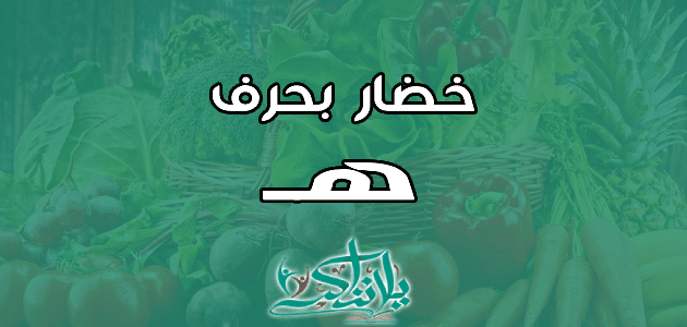 اسم خضار بحرف الهاء ه