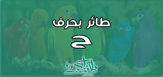 اسم طائر بحرف الحاء ح