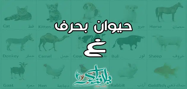 اسم حيوان بحرف الغين غ