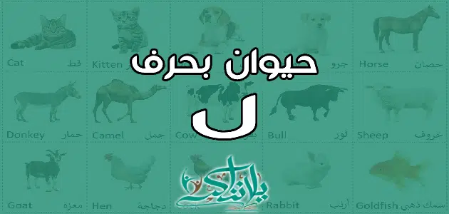 اسم حيوان بحرف اللام ل