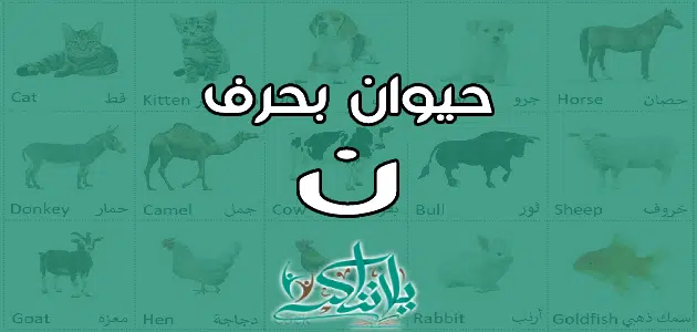 اسم حيوان بحرف النون ن