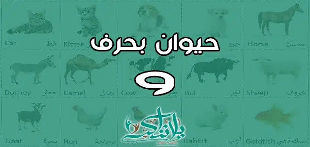 اسم حيوان بحرف الواو و