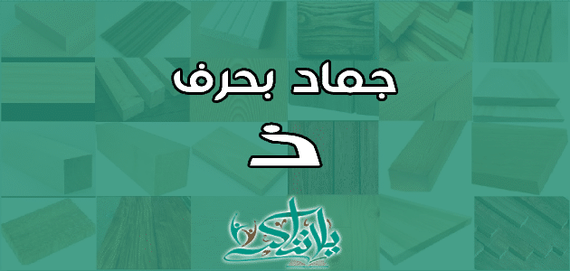 اسم جماد بحرف الذال ذ