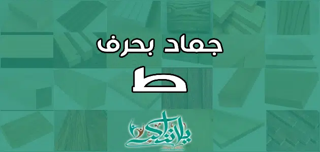 اسم جماد بحرف الطاء ط