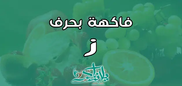 اسم فاكهة بحرف الزاي ز