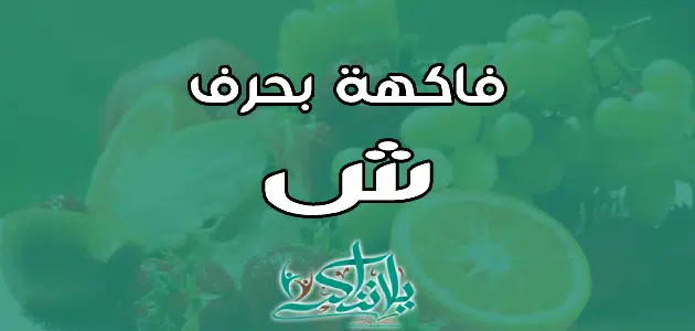 اسم فاكهة بحرف الشين ش