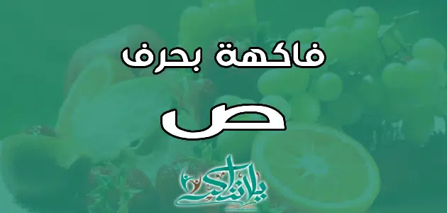 اسم فاكهة بحرف الصاد ص