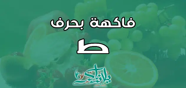 اسم فاكهة بحرف الطاء ط