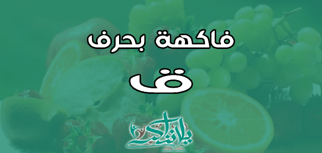 اسم فاكهة بحرف القاف ق