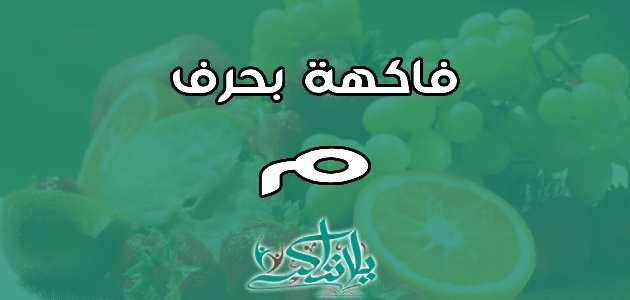 اسم فاكهة بحرف الميم م