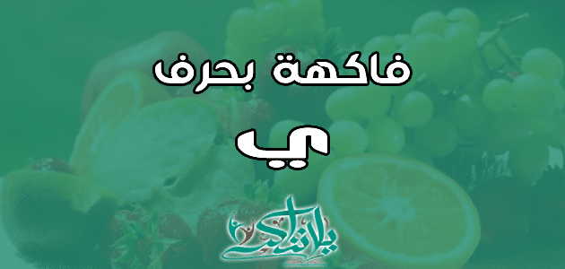 اسم فاكهة بحرف الياء ي